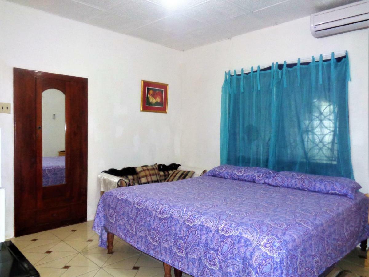 Yard Style Hotel Kingston Bagian luar foto