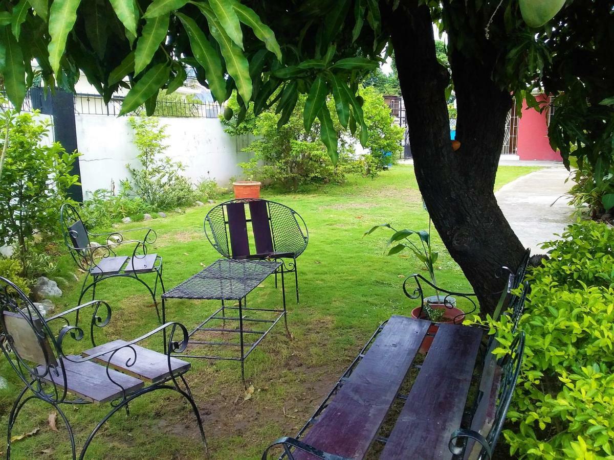 Yard Style Hotel Kingston Bagian luar foto